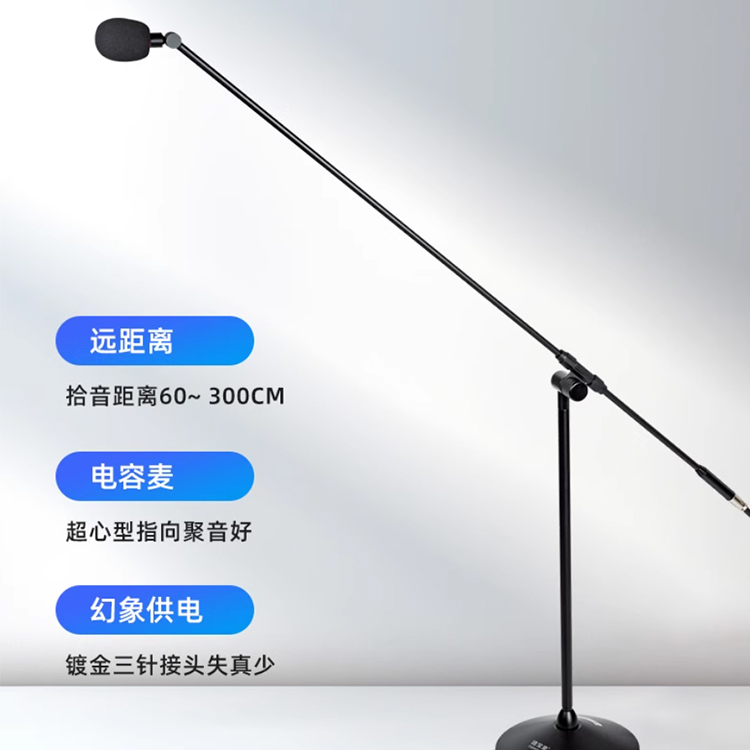 电容话筒租赁
