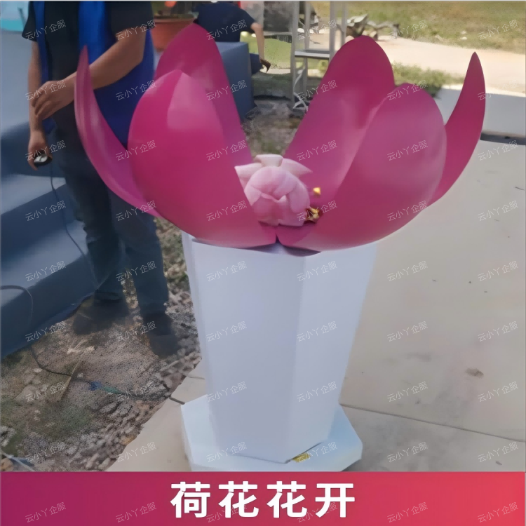 租赁-荷花花开